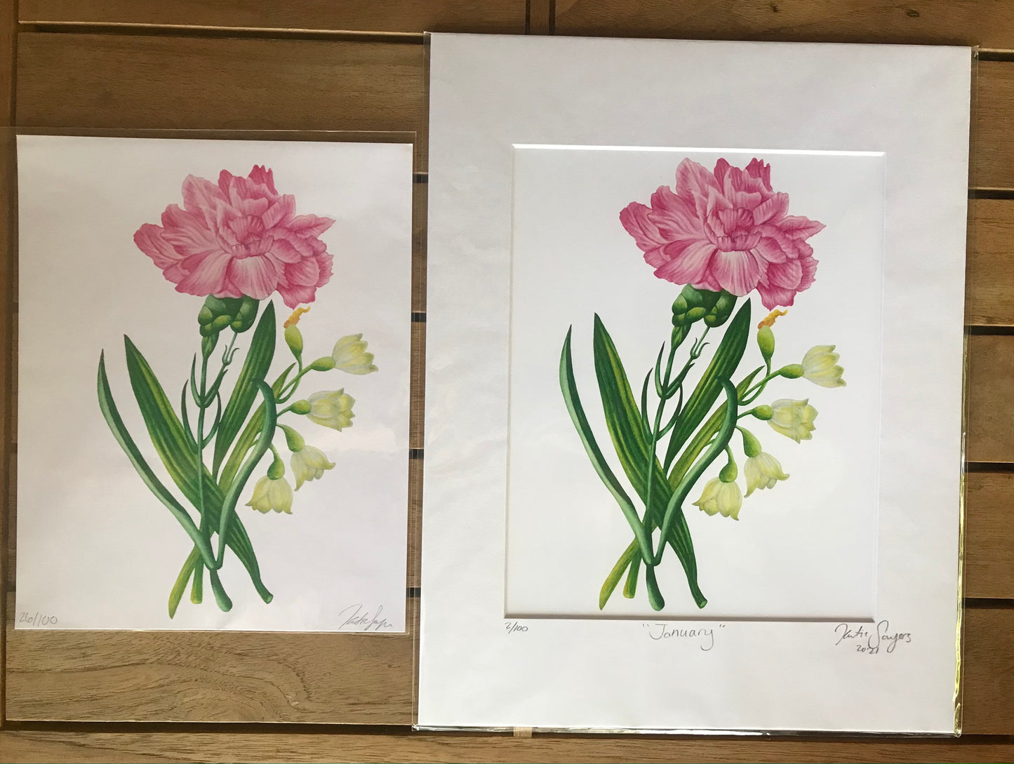 January Birth Flowers Botanical Illustration, Carnation and Snowdrops