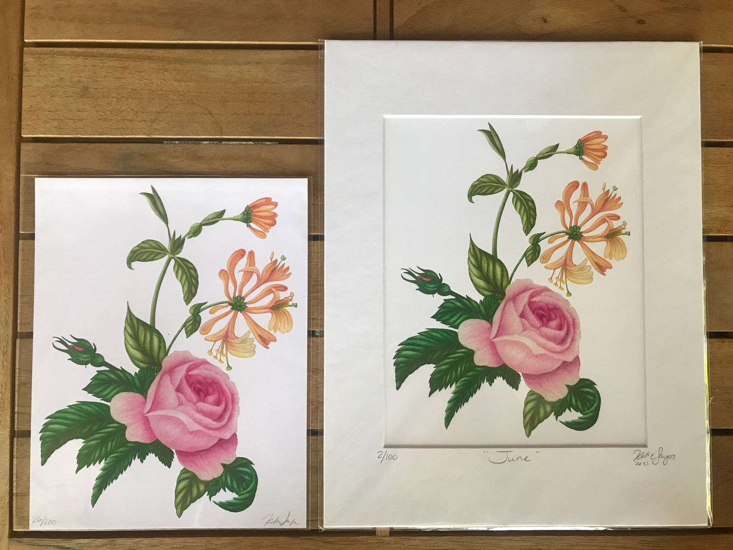 June Birth Flowers Botanical Illustration, Rose and Honeysuckles