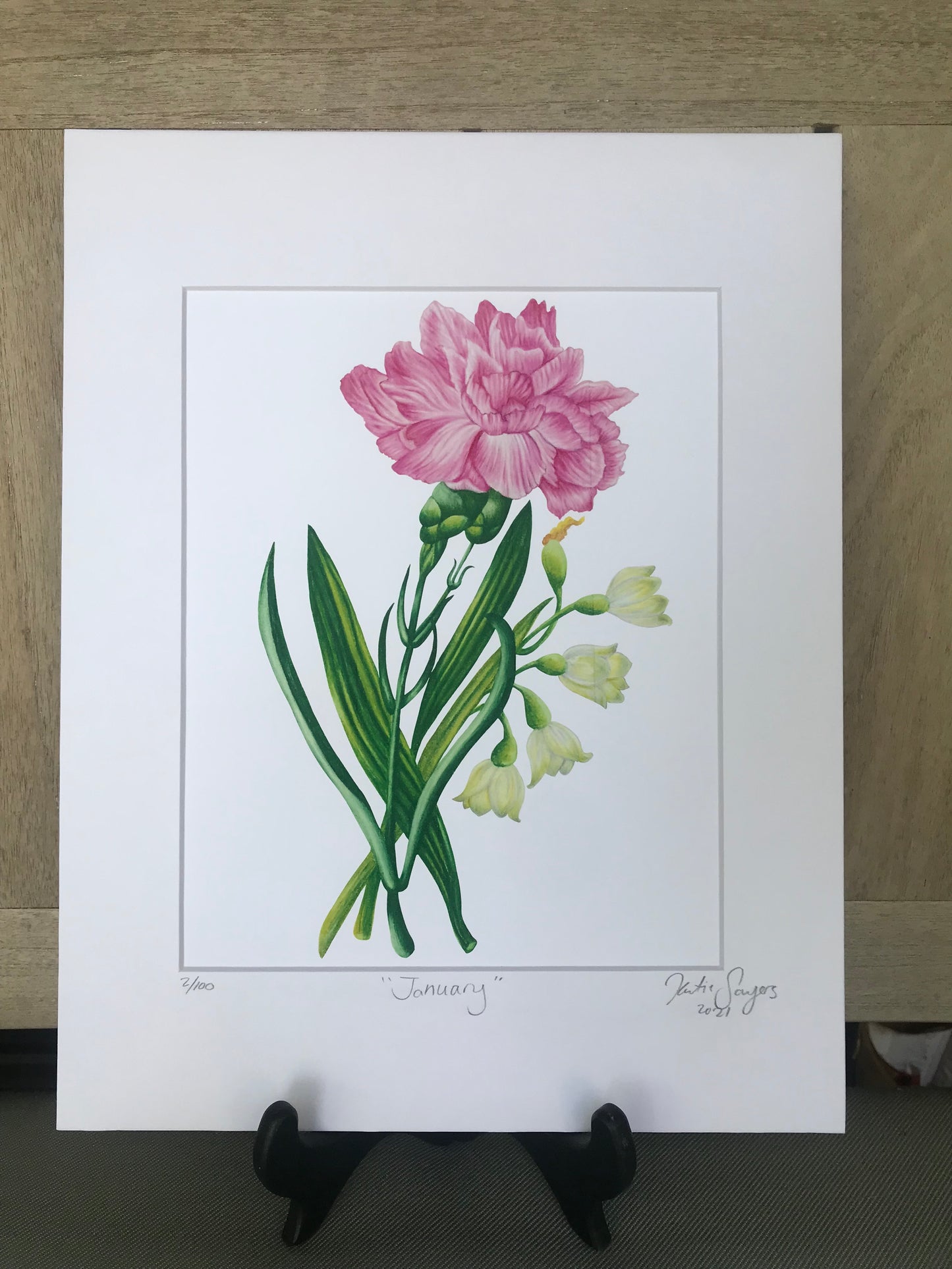 January Birth Flowers Botanical Illustration, Carnation and Snowdrops
