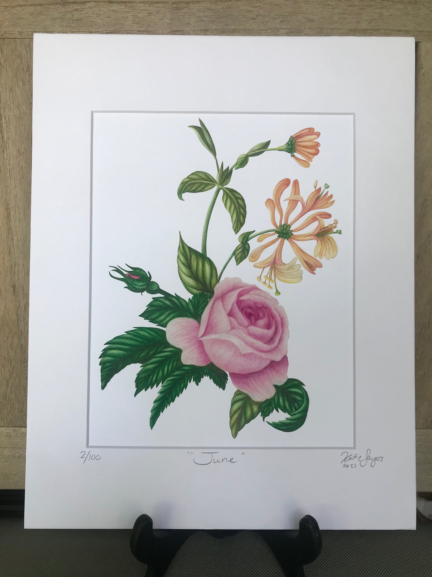 June Birth Flowers Botanical Illustration, Rose and Honeysuckles
