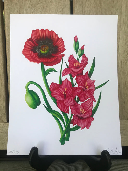 August Birth Flowers Botanical Illustration, Poppy and Gladiolus'