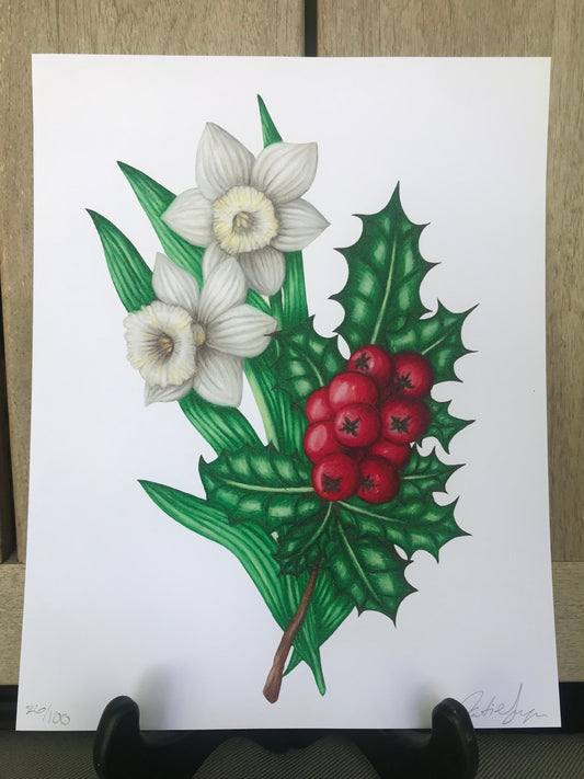 December Birth Flowers Botanical Illustration