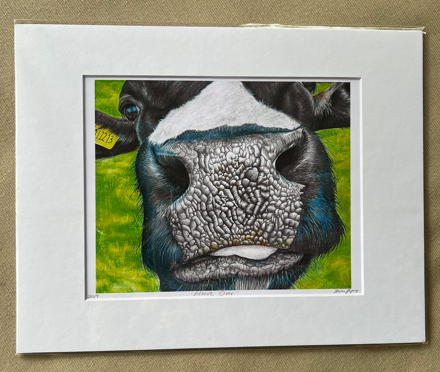 Cow Nose Fine Art Print