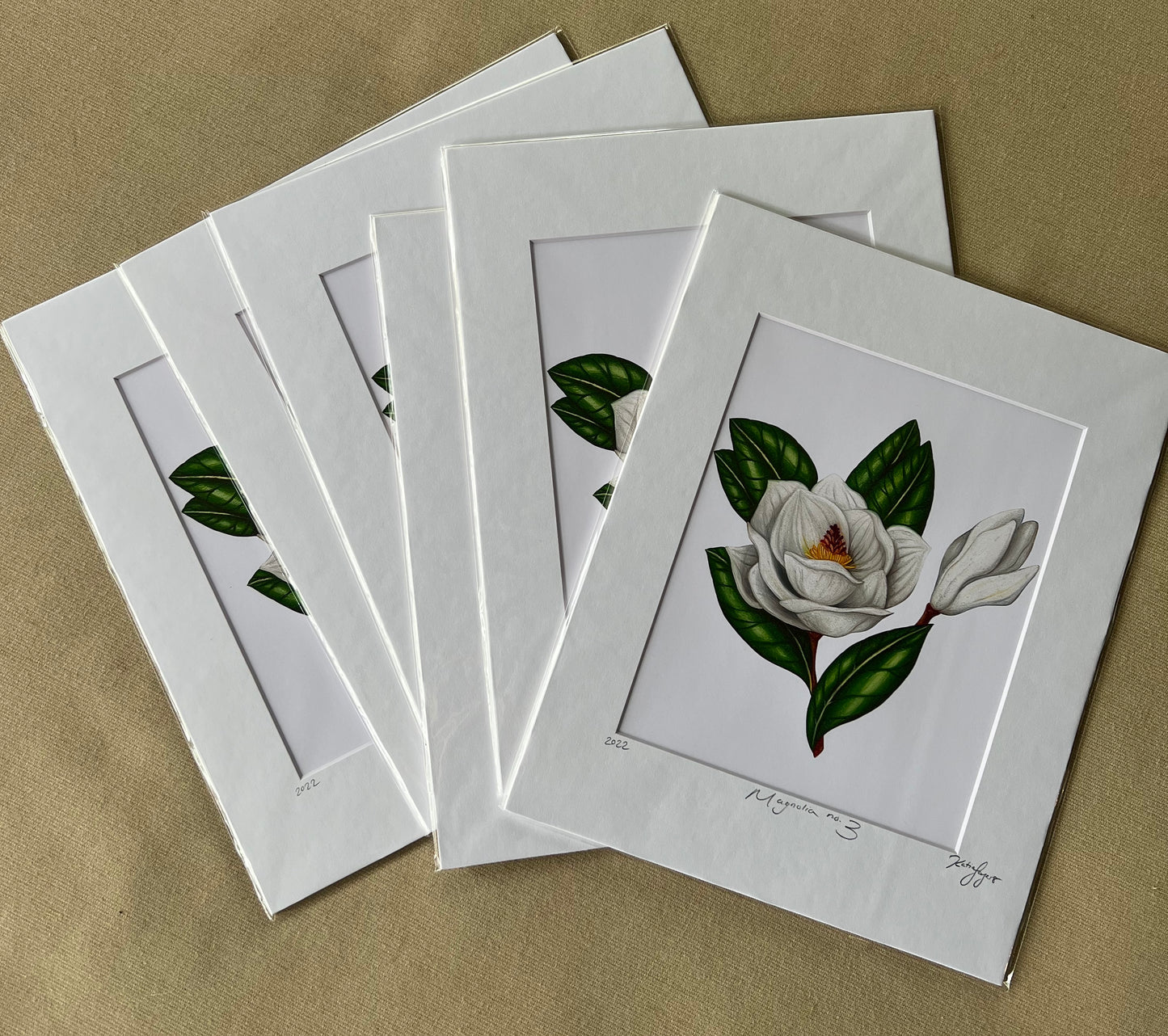 Magnolia no.3 Fine Art Botanical Illustration Print