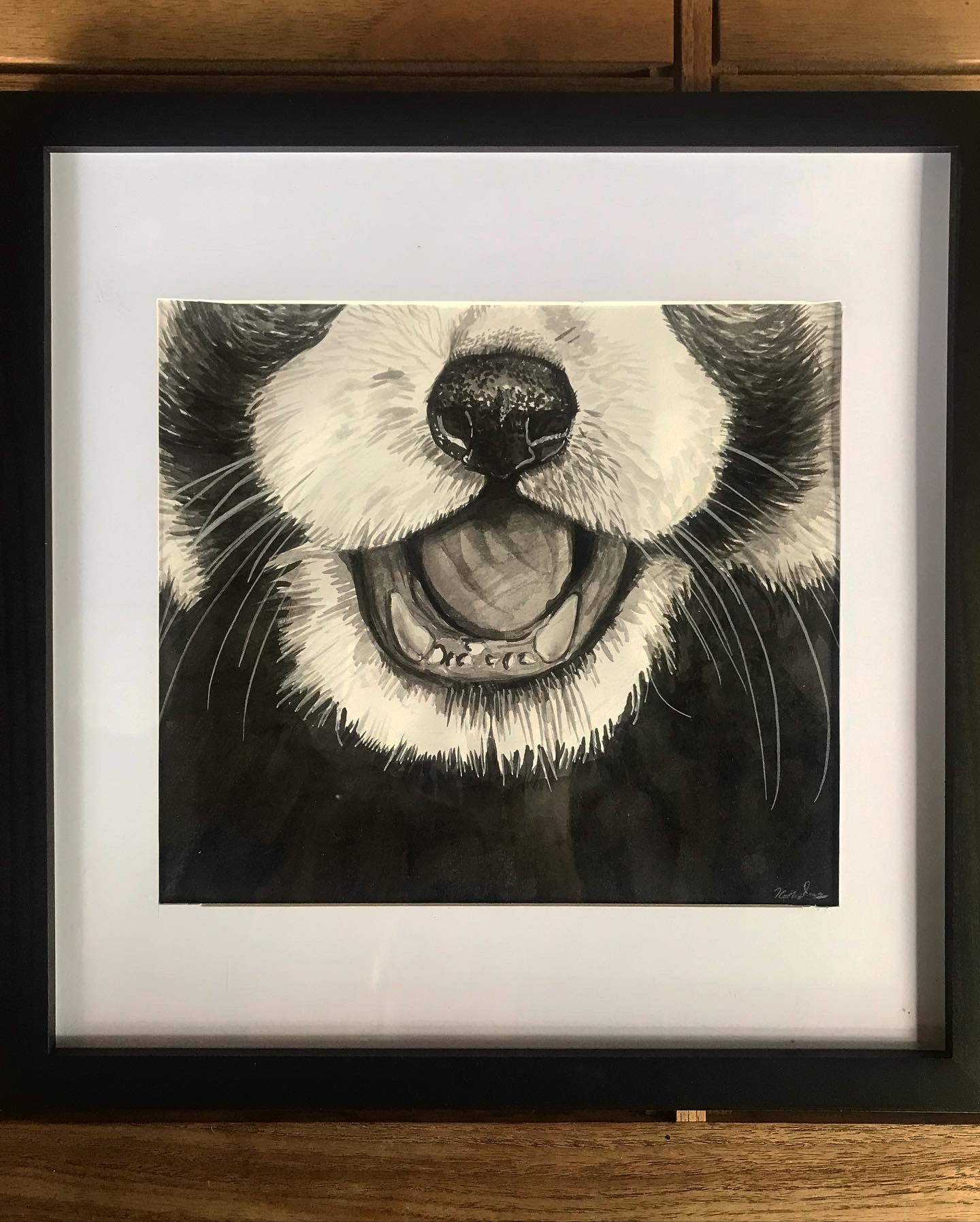 Red Panda Ink Drawing Fine Art Print