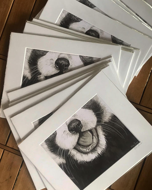 Red Panda Ink Drawing Fine Art Print