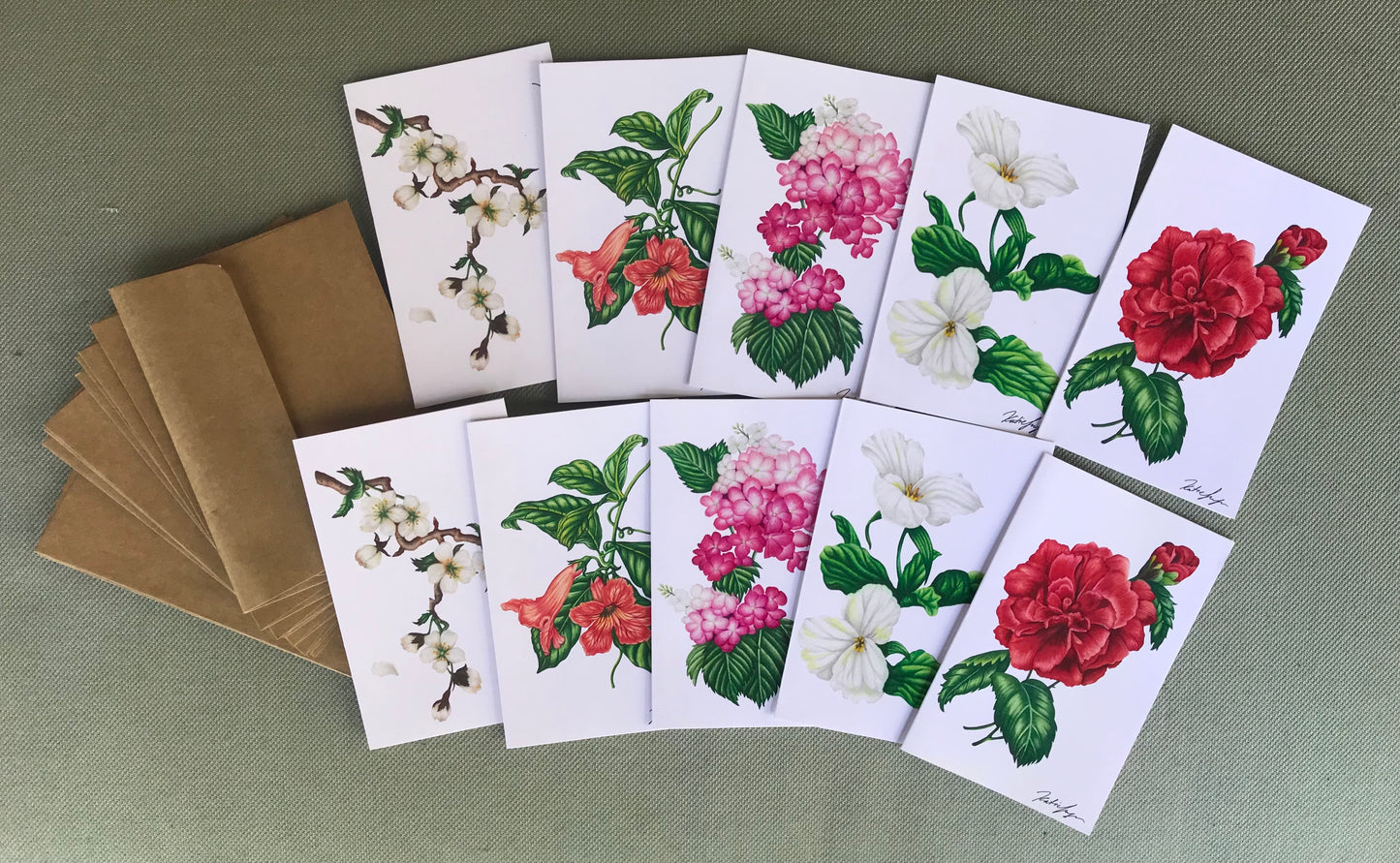 Blank Assorted Floral Greeting Cards