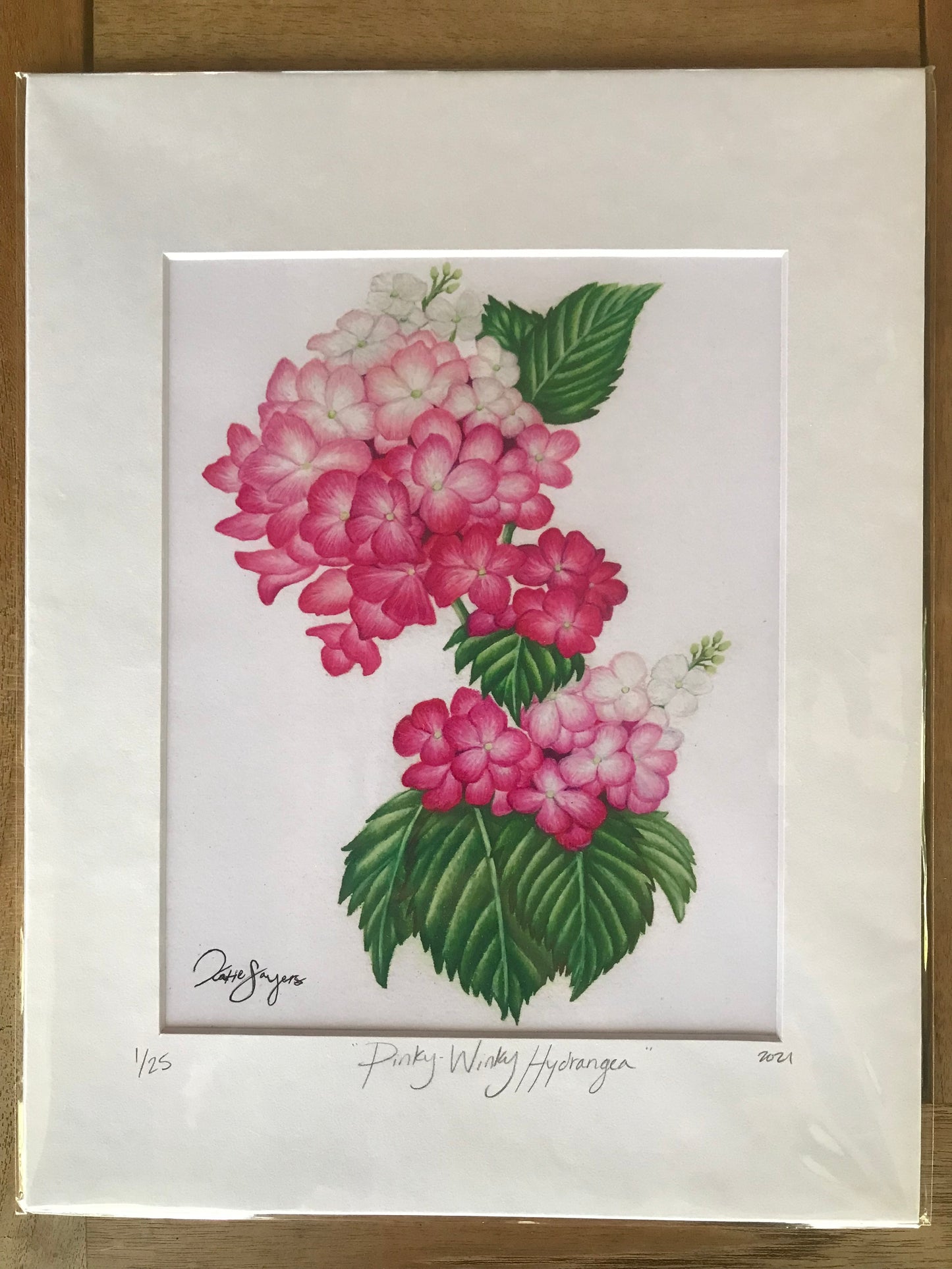 Pinky Winky Hydrangea Botanical Illustration Print