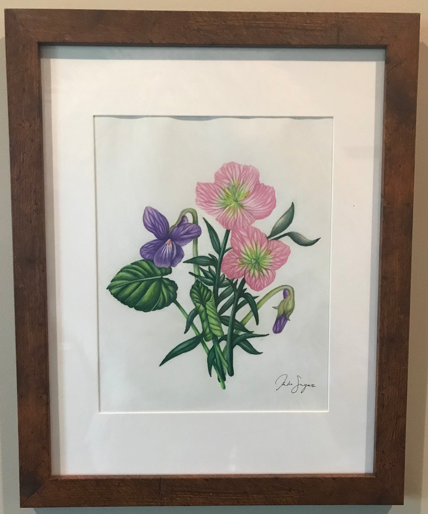 February Birth Flowers Botanical Illustration, Primroses and Violets