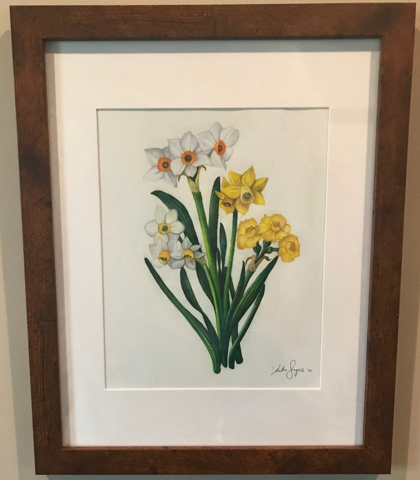 March Birth Flowers Botanical Illustration, Daffodils and Jonquils