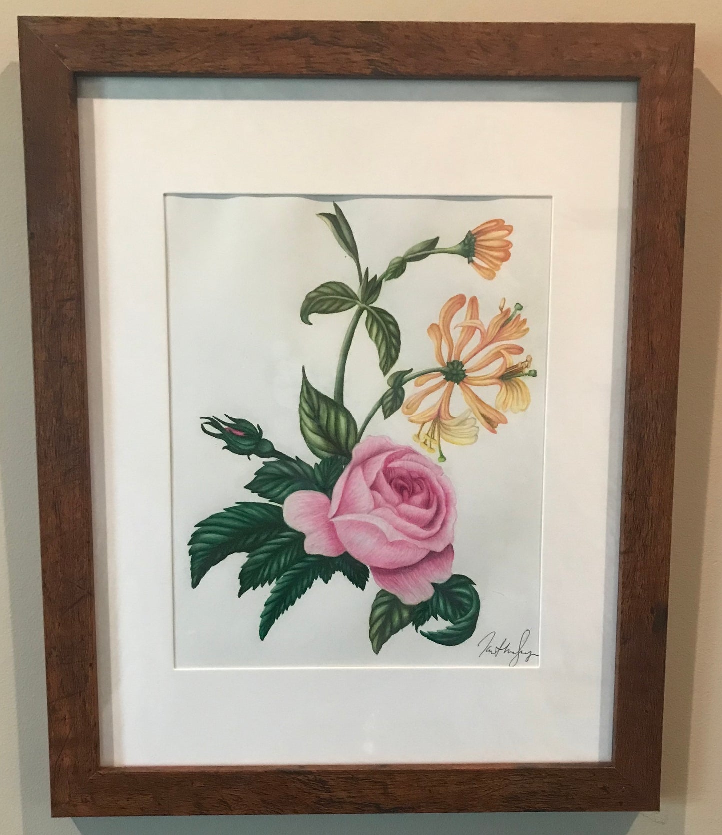 June Birth Flowers Botanical Illustration, Rose and Honeysuckles