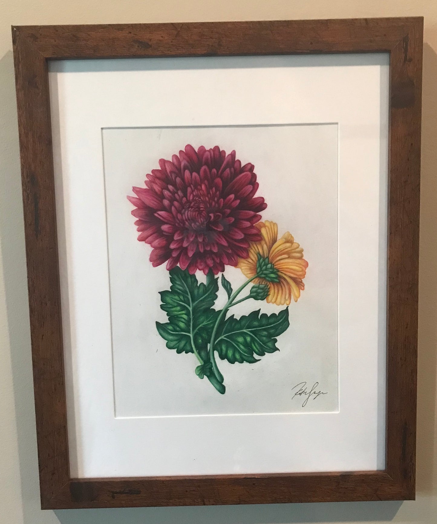 November Birth Flowers Botanical Illustration, Chrysanthemums