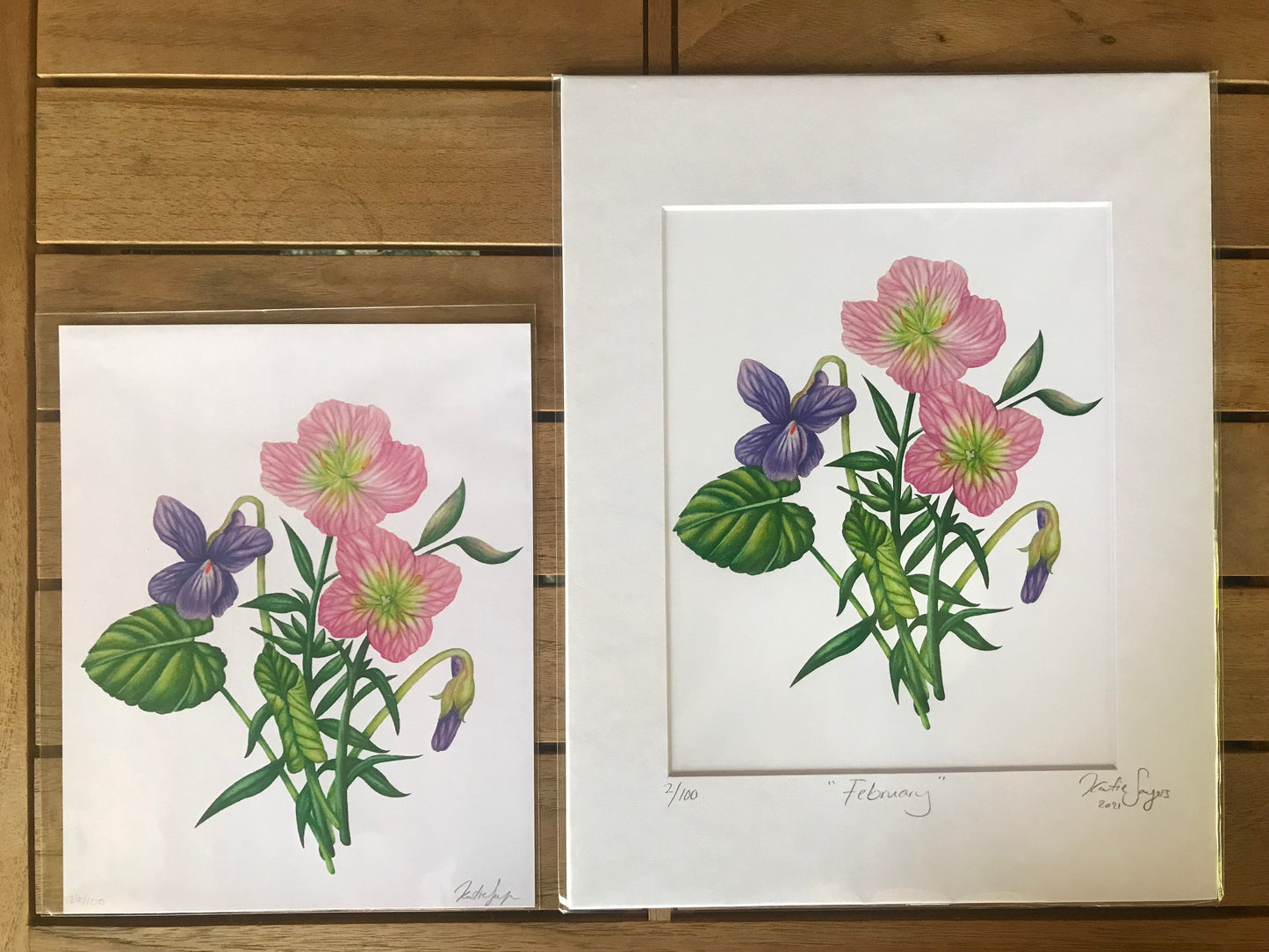 February Birth Flowers Botanical Illustration, Primroses and Violets