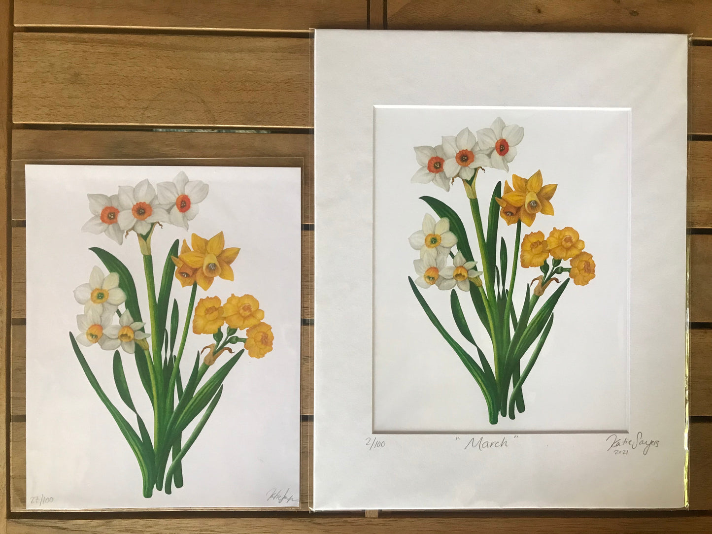 March Birth Flowers Botanical Illustration, Daffodils and Jonquils