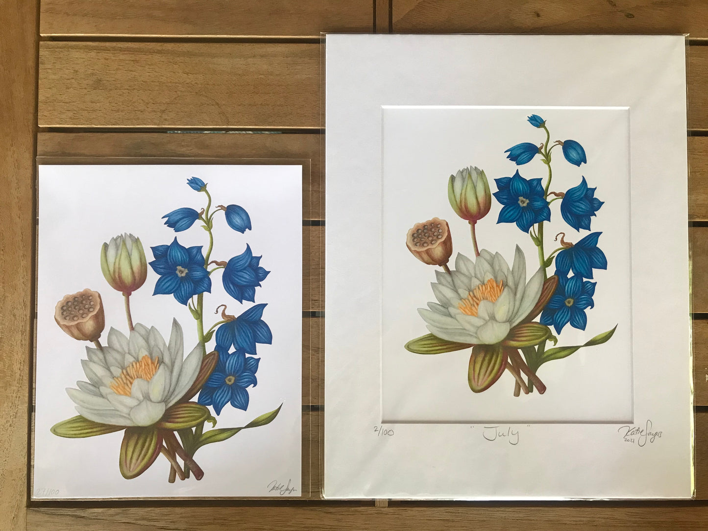 July Birth Flowers Botanical Illustration, Water Lily and Larkspur