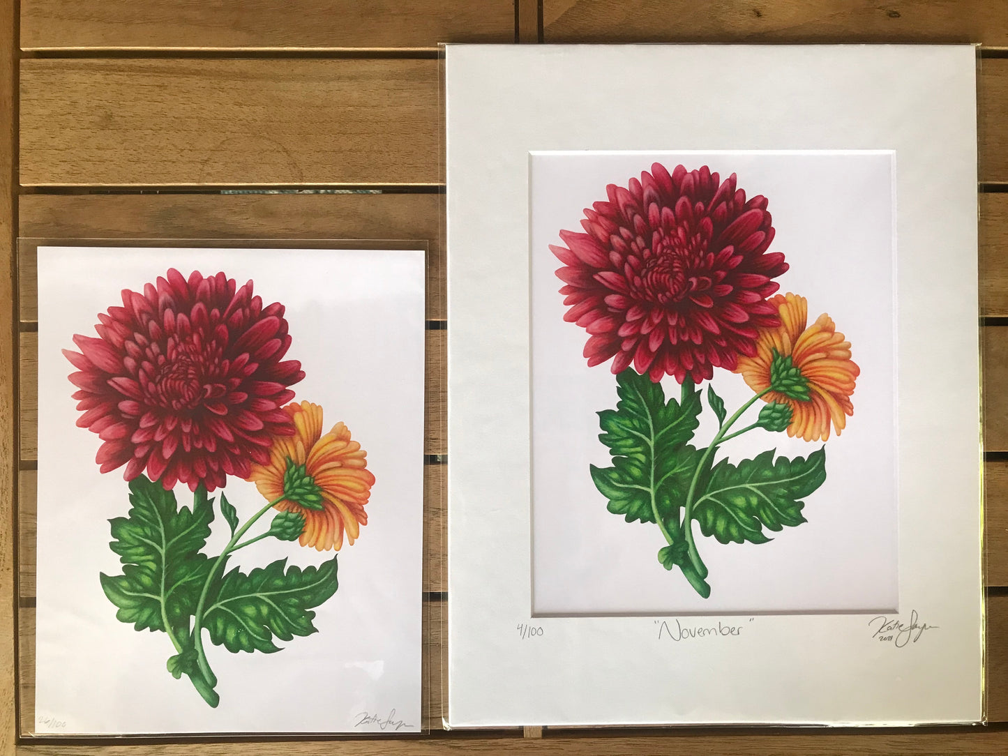 November Birth Flowers Botanical Illustration, Chrysanthemums