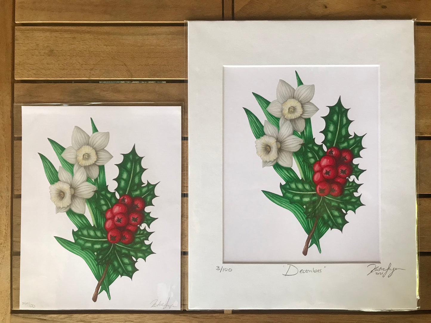 December Birth Flowers Botanical Illustration