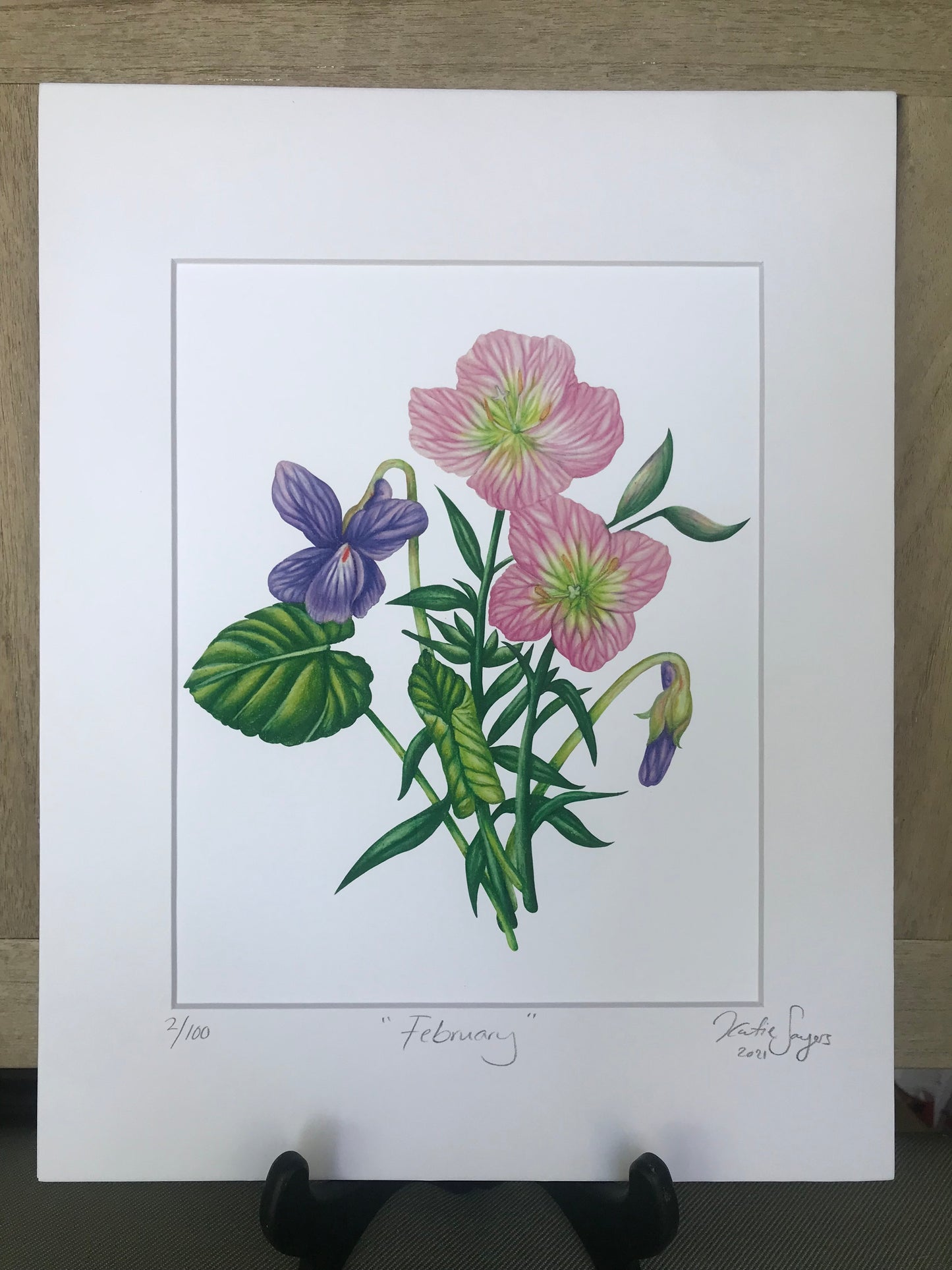 February Birth Flowers Botanical Illustration, Primroses and Violets