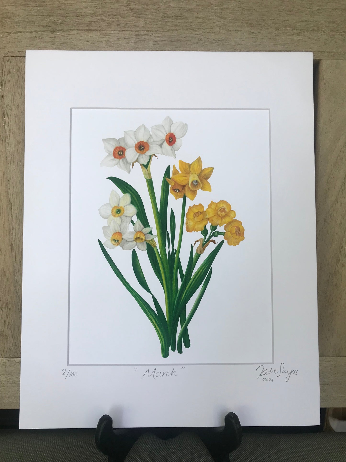 March Birth Flowers Botanical Illustration, Daffodils and Jonquils