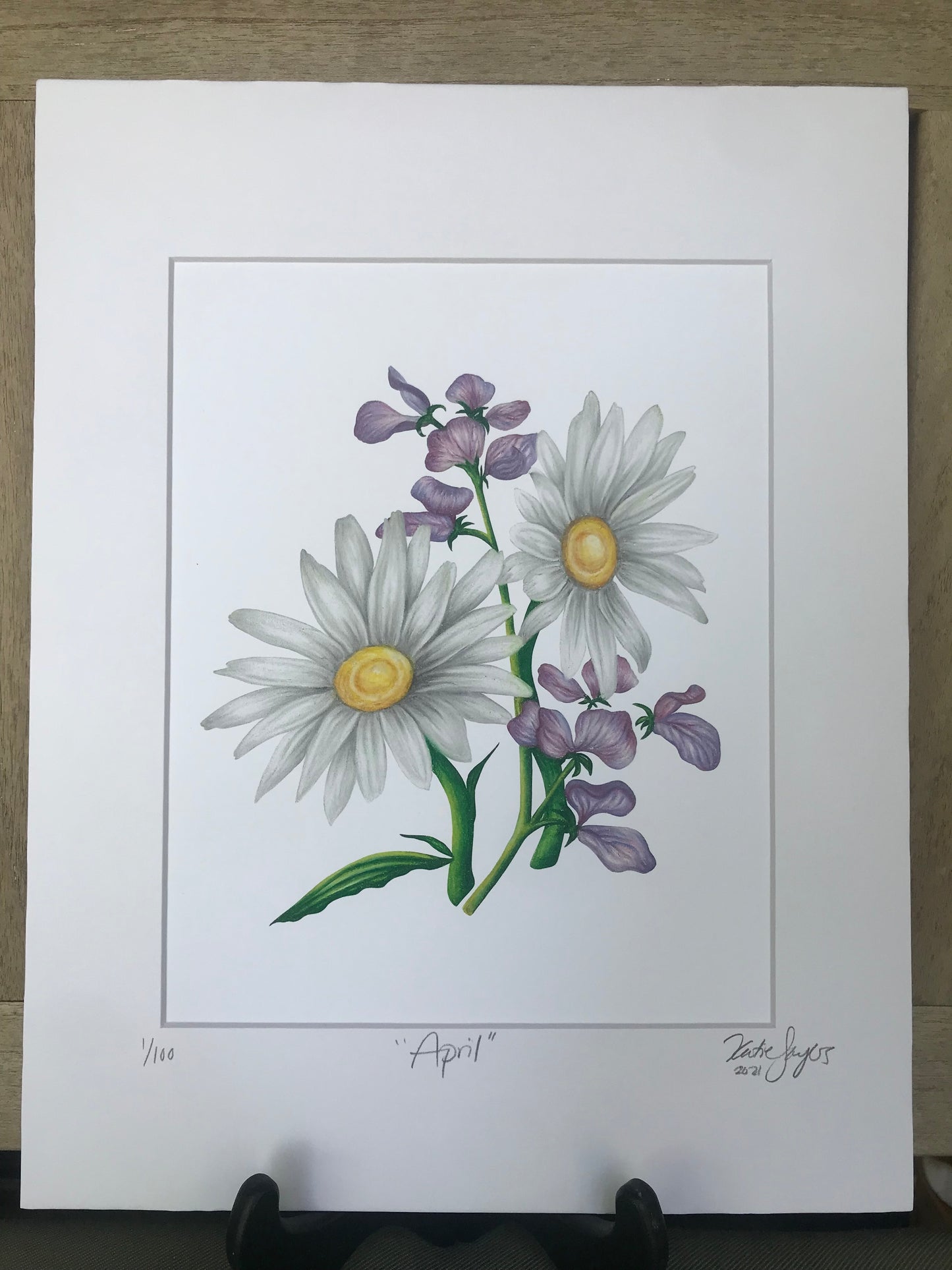 Daisy April Birth Month Flower Botanical Print on Black - Art by