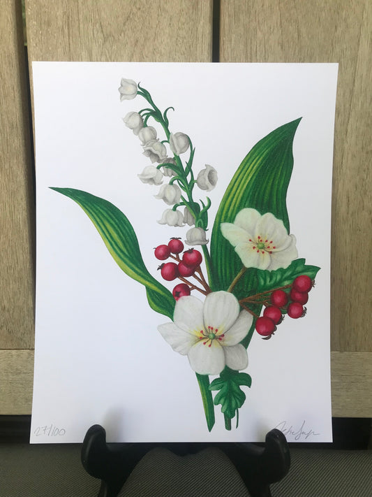 May Birth Flowers Botanical Illustration, Lily of the Valley and Hawthorn