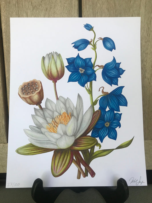 July Birth Flowers Botanical Illustration, Water Lily and Larkspur
