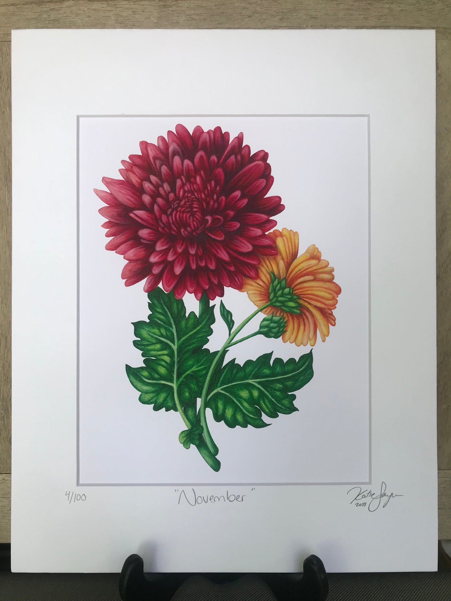 November Birth Flowers Botanical Illustration, Chrysanthemums