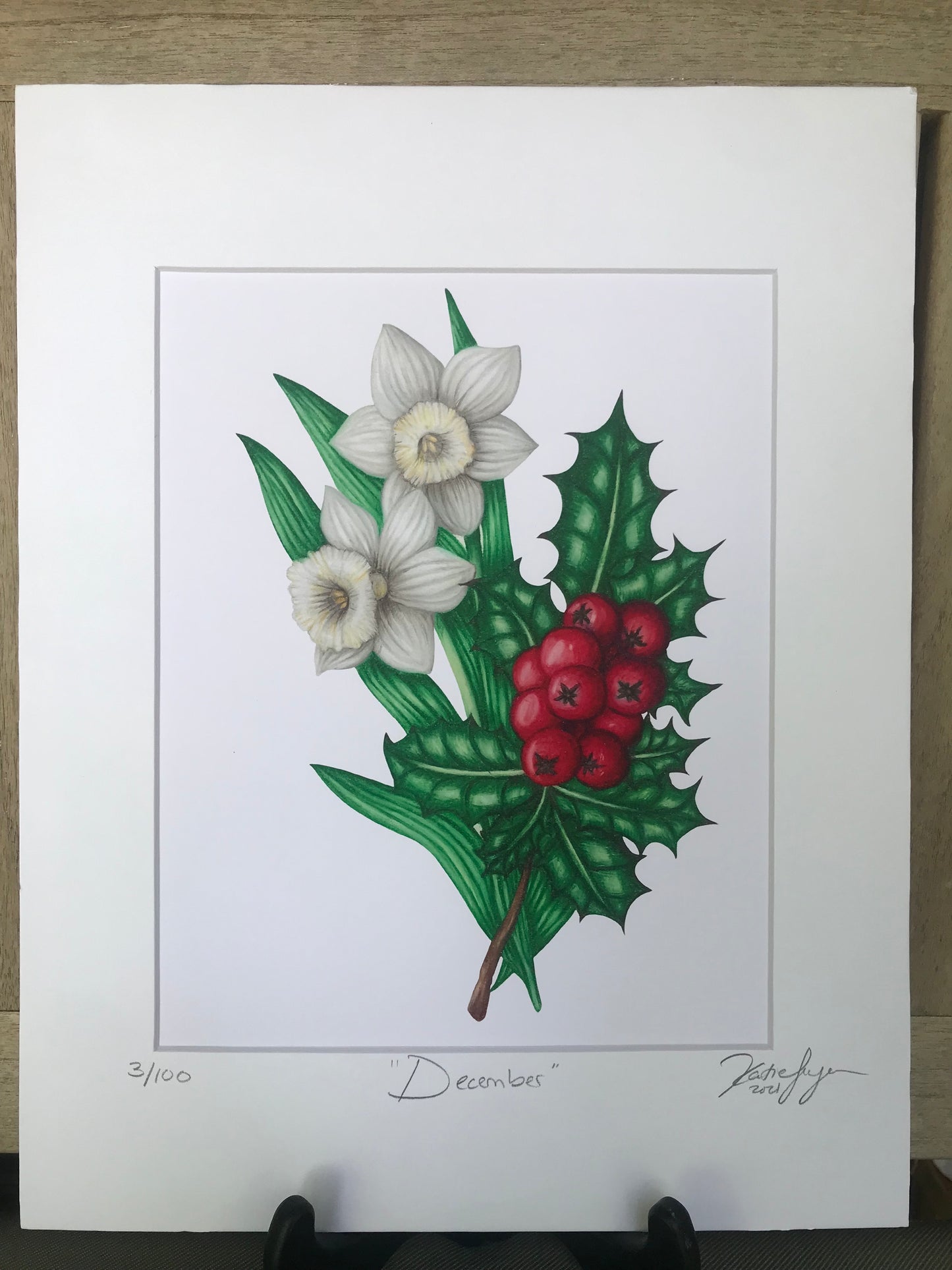 December Birth Flowers Botanical Illustration
