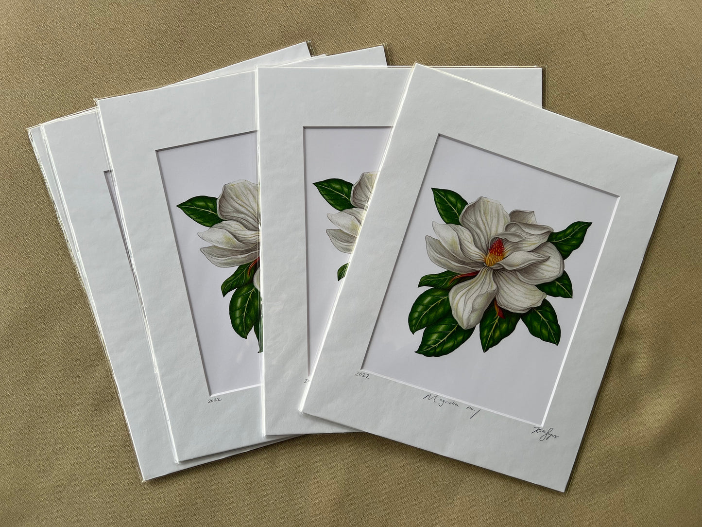 Magnolia no.1 Fine Art Botanical Illustration Print